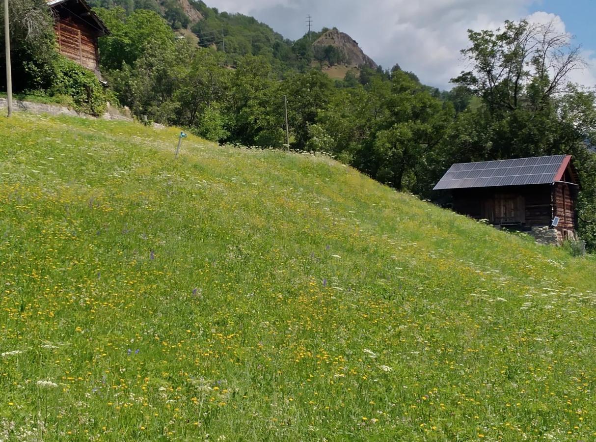 Arve Villa Bitsch Dış mekan fotoğraf